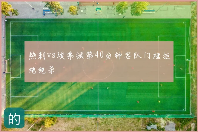 热刺vs埃弗顿第40分钟客队门框拒绝绝杀